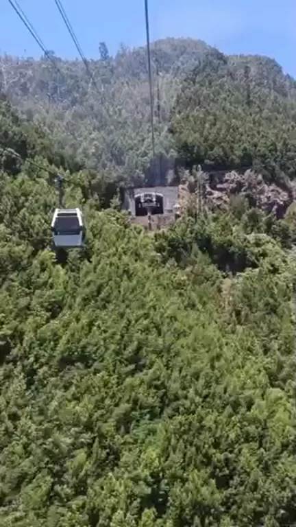 Wouldn't you agree that's a great view? The other cabins seemed to enjoy it, at least =)