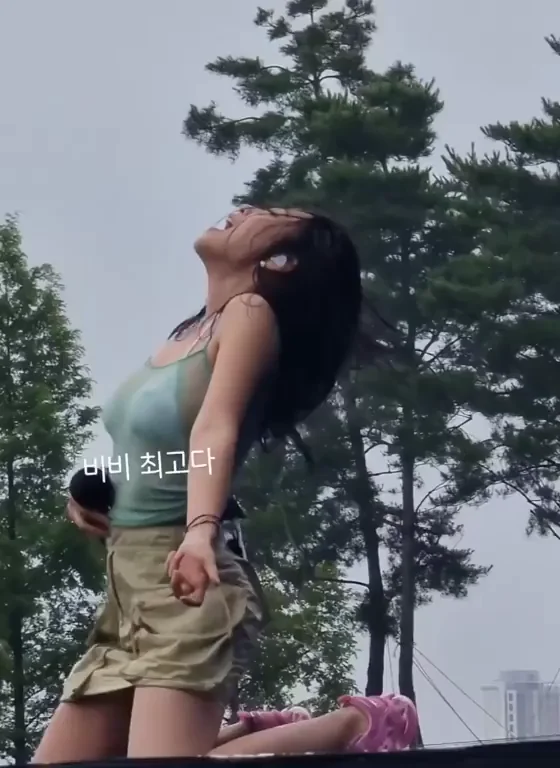 BIBI