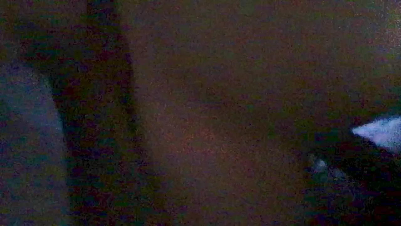 Scandinavian girl with small waist and perfect ass tries bbc (OC)
