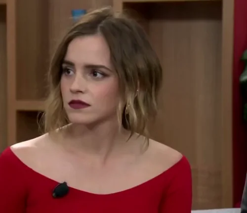 Emma Watson's response to the question 'do you lust after the idea of a cock being pushed up your arse'?