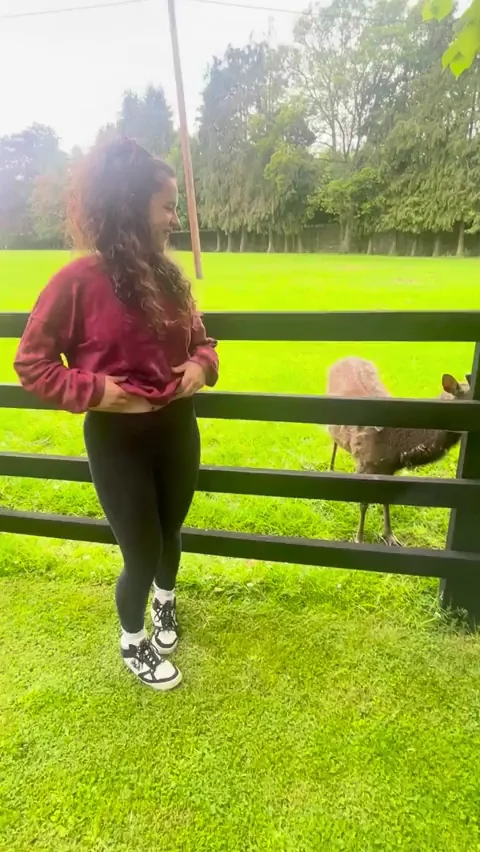 Flashing at the farm!