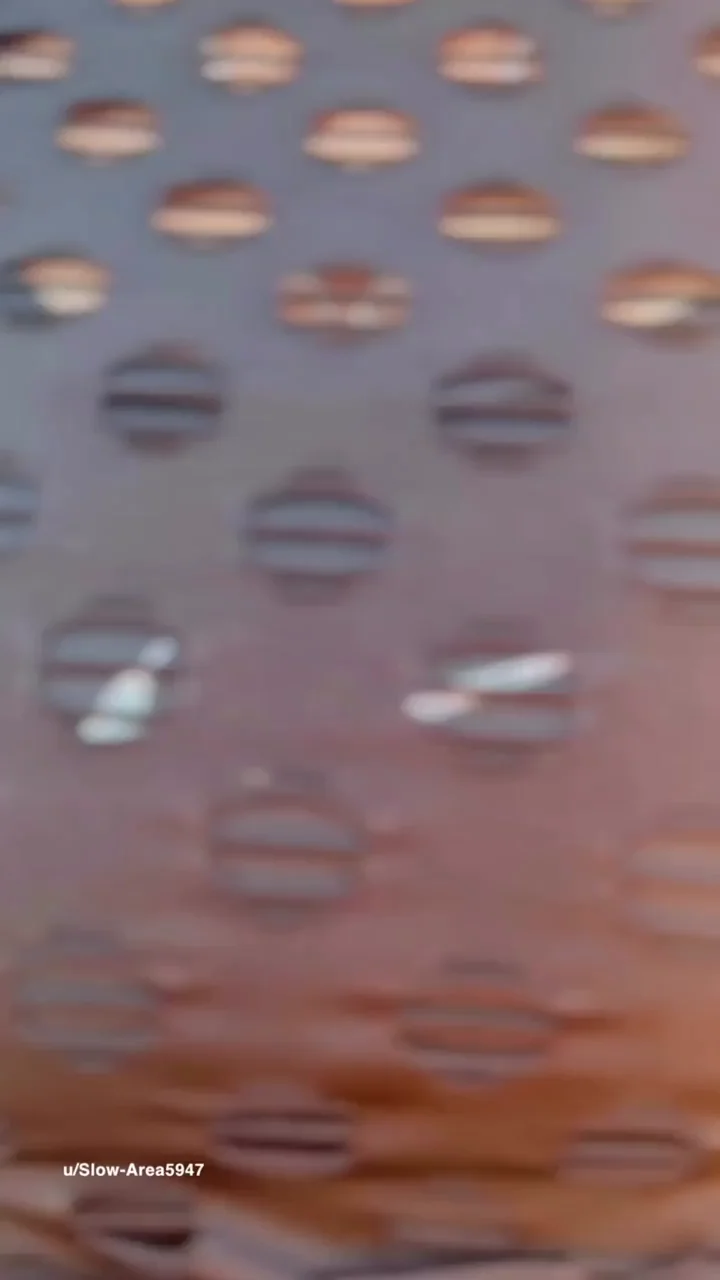 Taste This Juicy Ass View 😍🍑