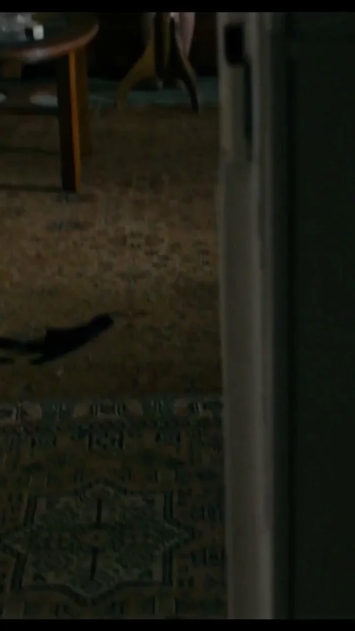 Saskia Rosendahl in Never Look Away (2018) [slowed, brightened]