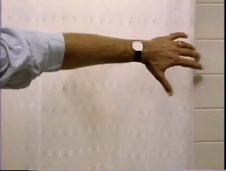 Beverly D'Angelo panties in the shower National Lampoon's Vacation (1983)