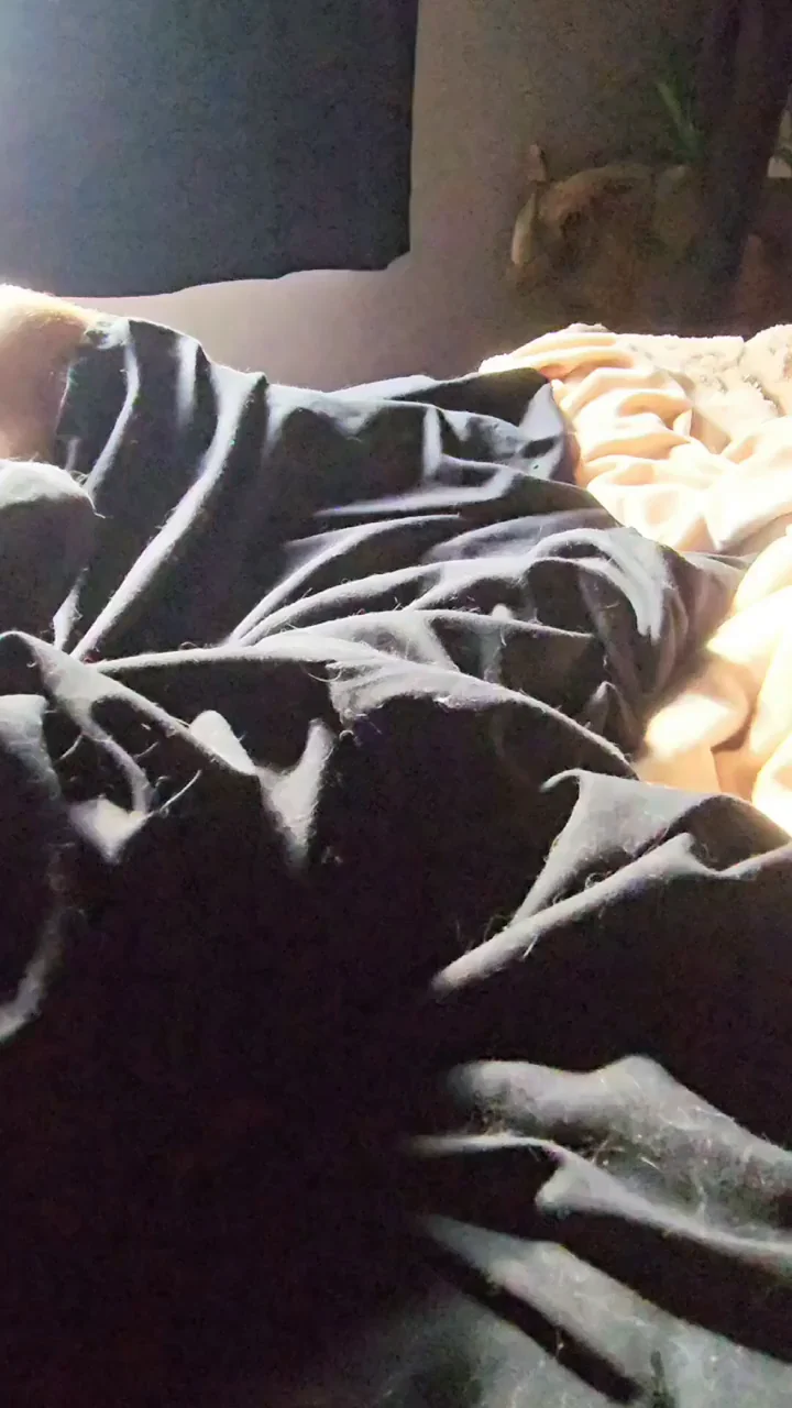Wanna stay in bed or get up ?