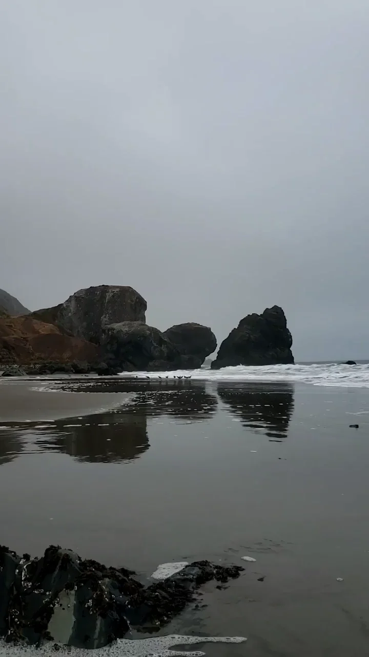 ðŸŒŠ I was fortunate to visit my favorite beach with a Reddit friend ðŸ’™ (link to another video in comments)