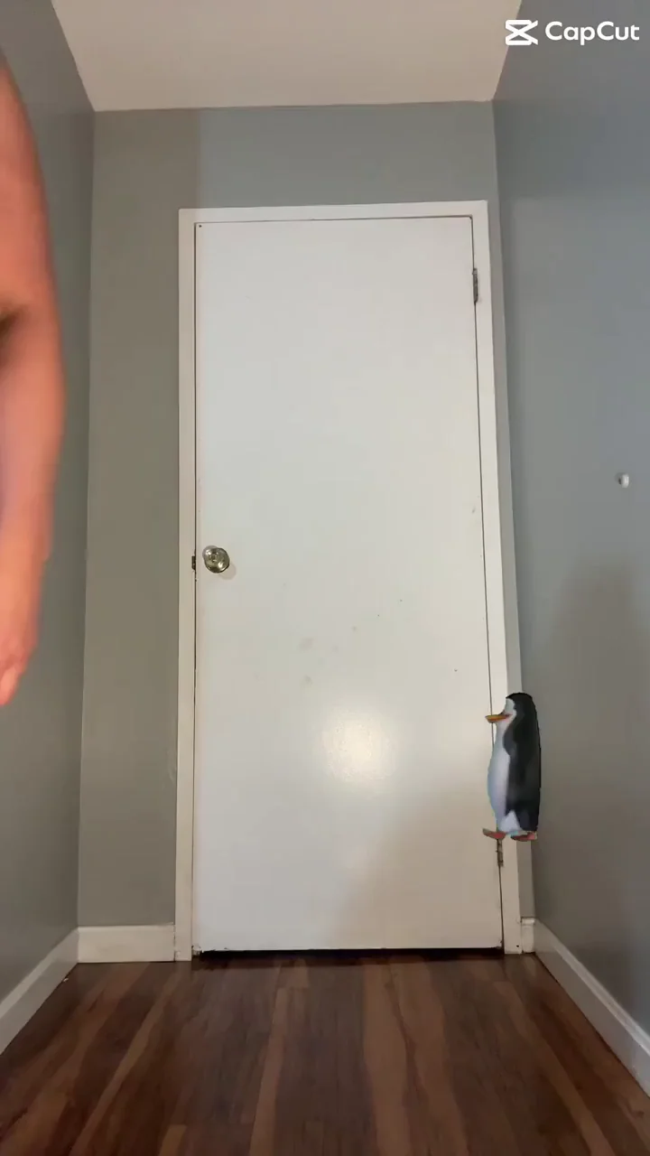 Penguin Dance TikTok Slut Shakes Juicy Ass 🍑🐧😂