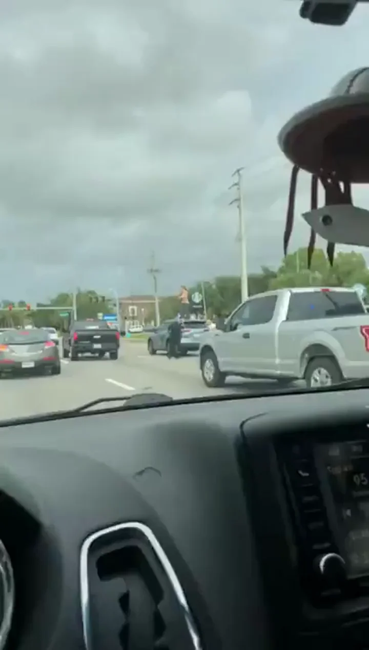 Florida Woman Gone Wild