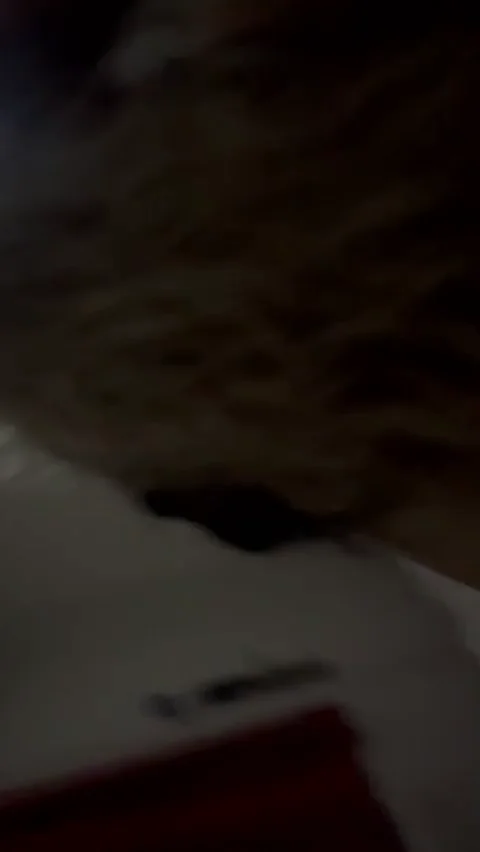 🔥 Passionate Slut Sucks My Thick Cock Hard 😈💦