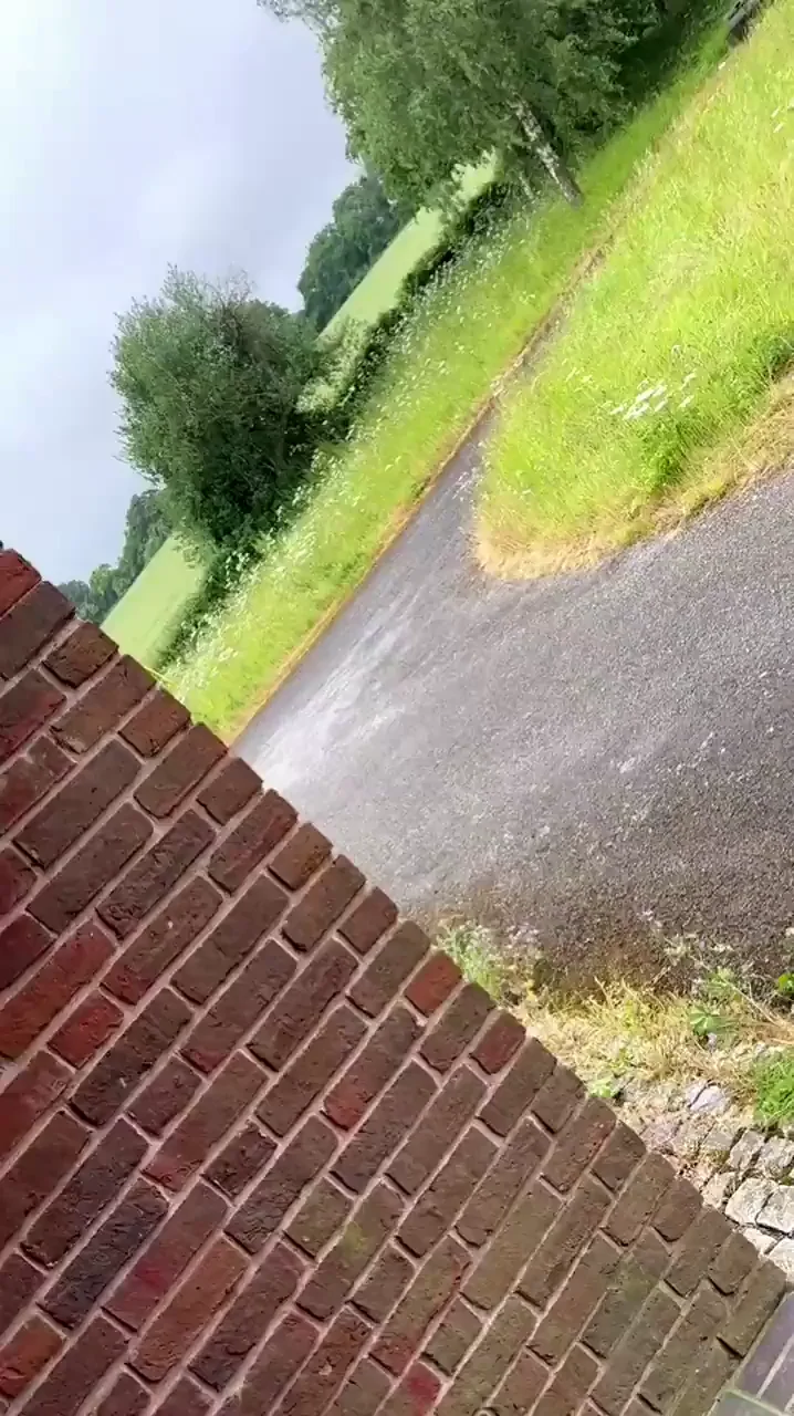 I do love to suck a strangers dick in public