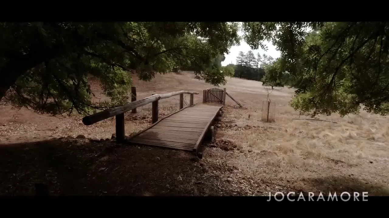 Park Bench Fuck Fest: Perfect Height for Pounding That Slutty Pussy! 🍆🌳💦