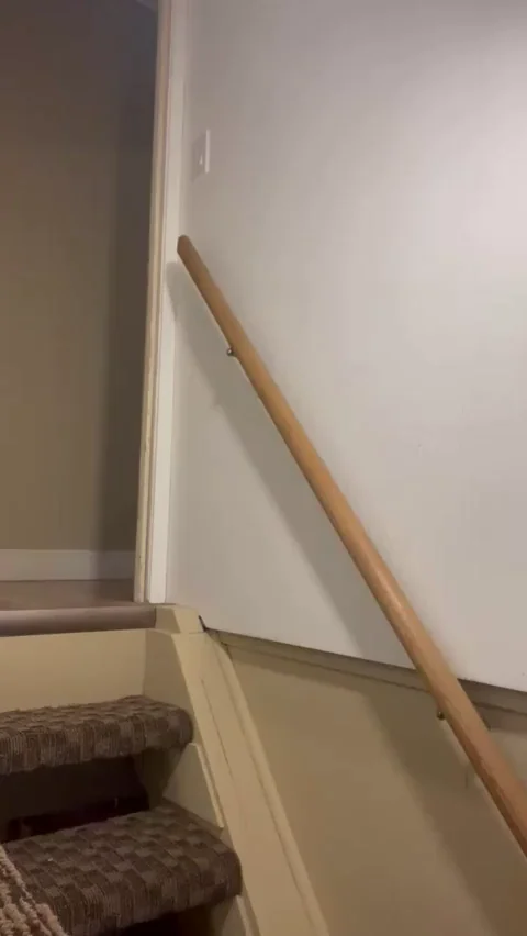 Sneaking up to your room. Don't tell 😁‰