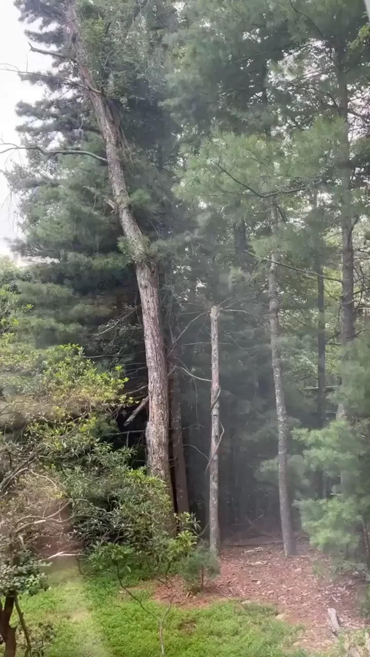 wish you were here with me so you could fuck me right here & now🤤🤤