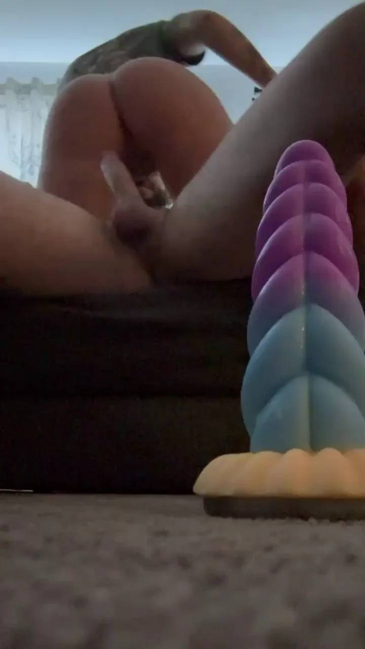 Need my holes pleased at all times