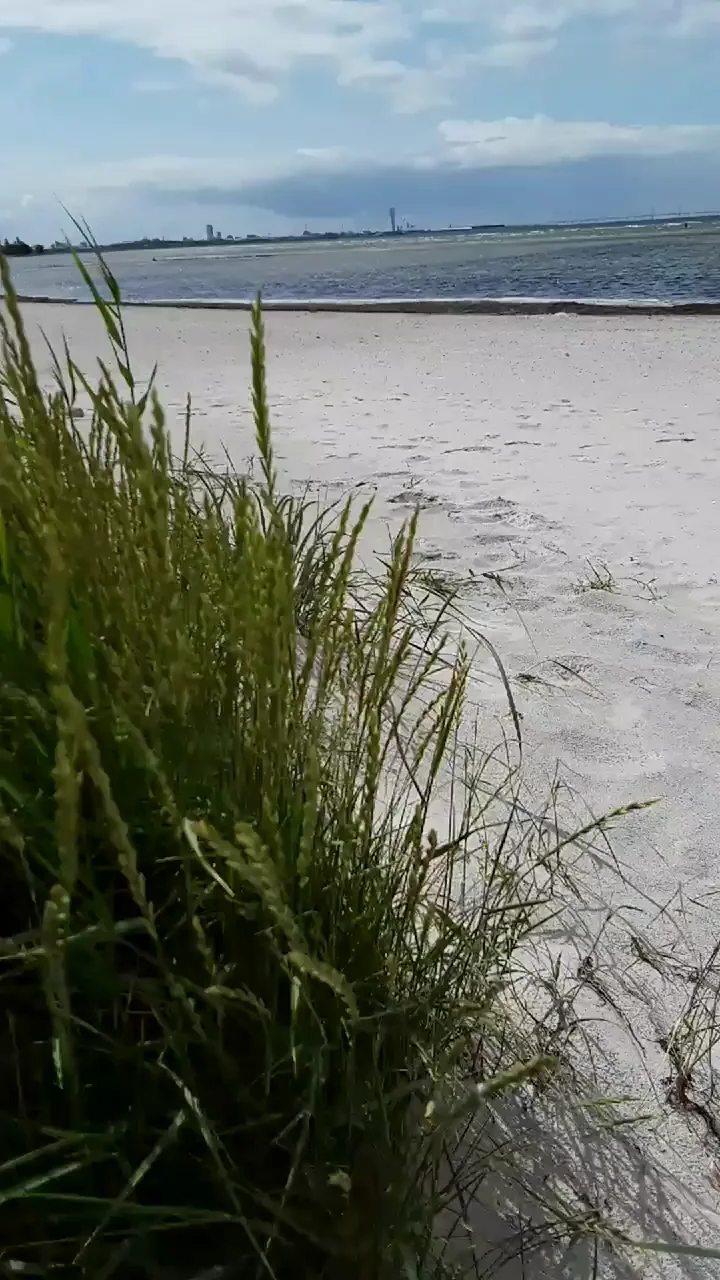 [M] ein erstes Mal nackt am Strand war ein Erguss