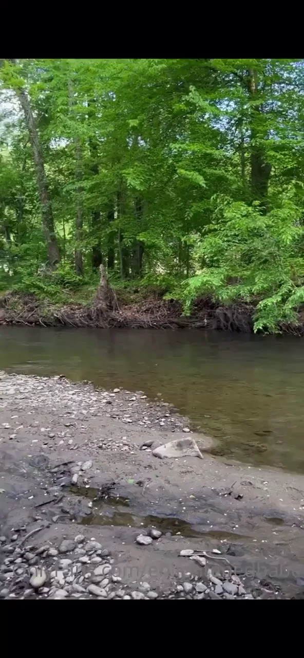 Suckin' White Dick Anywhere in the Wild 🌳🍆💦