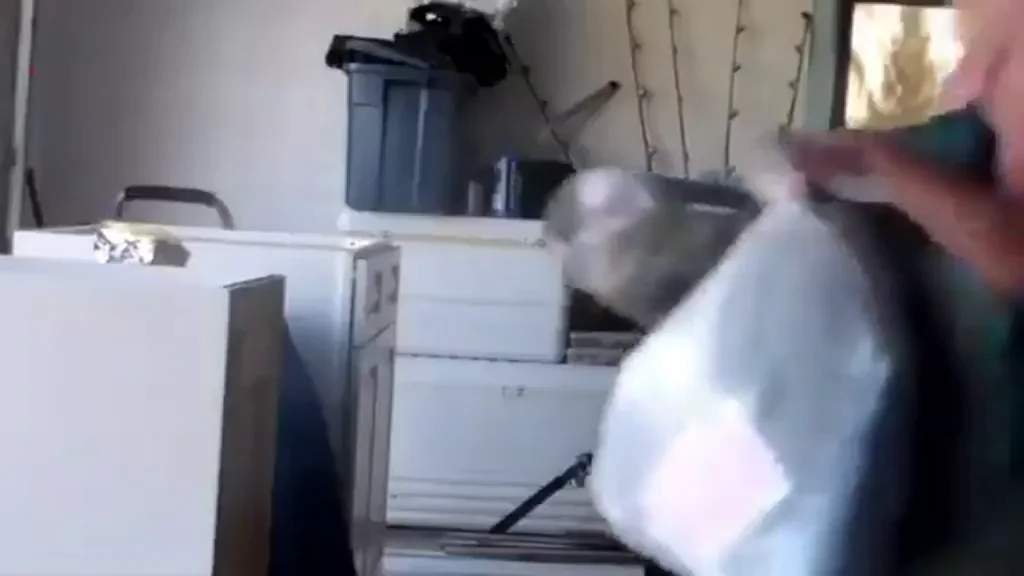 QOS hotwife takes out the trash in her sexy nightie and seduces the BBC garbage man. Sucks and fucks him in the garage, caught it all on camera. Prob staged (think I've seen more of this from her) but still hot