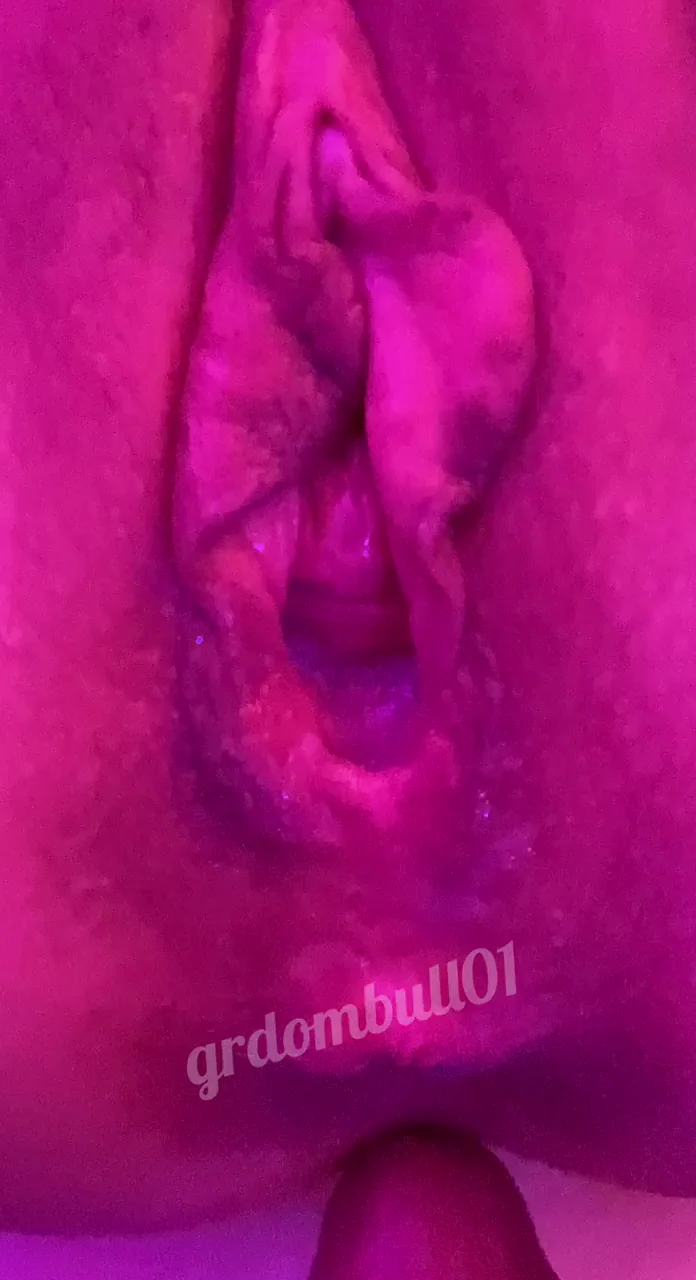 Hotwife's Creampie Hide-and-Seek for Cucky Hubby Cleanup 😈💦👅