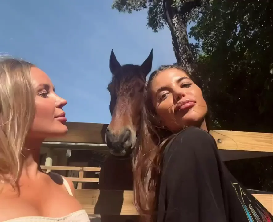 At the farm