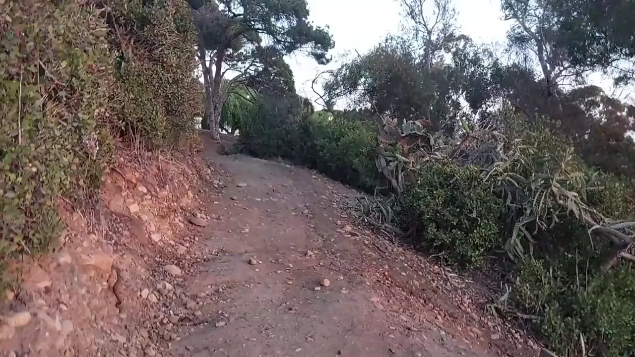 Fearless Slut Shoves Butt Plug Anywhere in Public Trail 😈🍑
