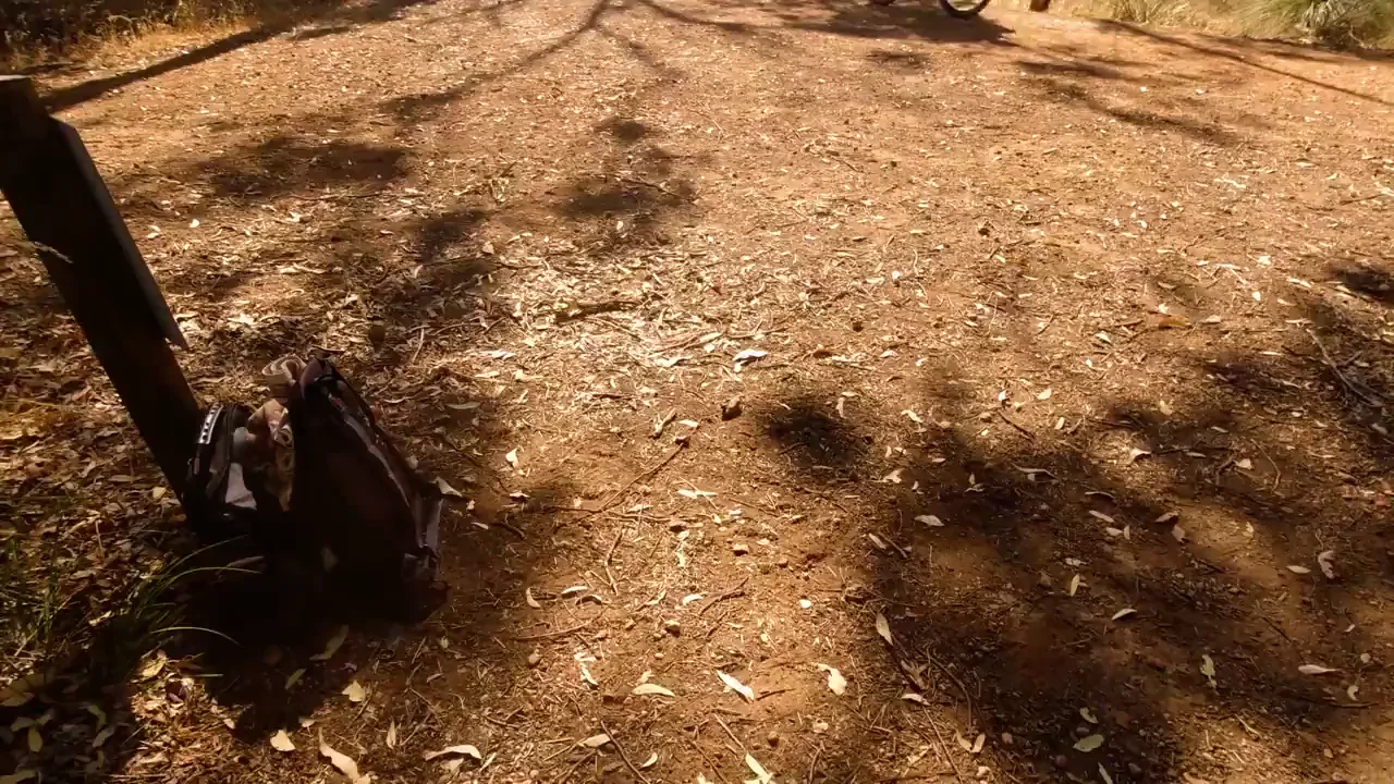 Risky Trail Slut Sucks Off Her Man Till He Bursts!