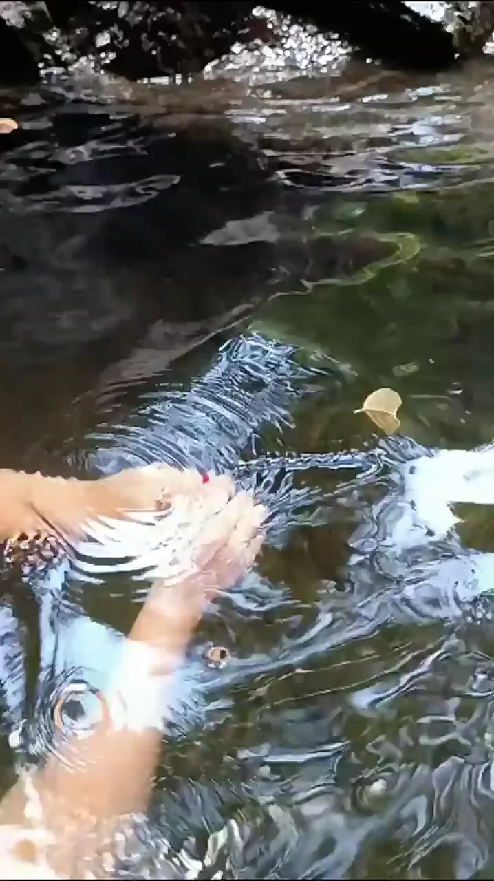 Thick Ass Tease in the Creek