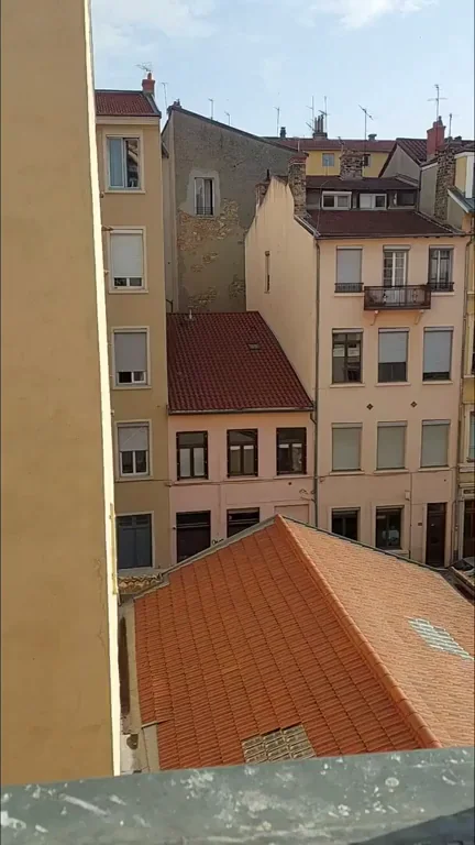 Saying hi to the neighbors ?