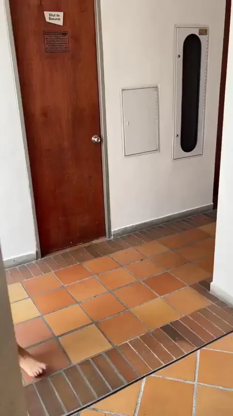 Obsessed with Her Massive Tits in the Hallway