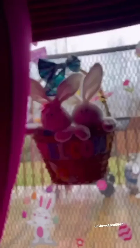 Bury Your Face in My Easter Bunny Yoga Pants Ass 😈