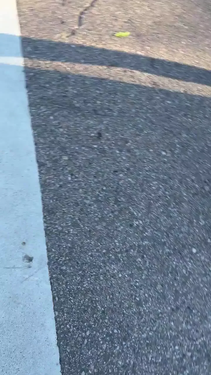 Still looking for someone actually risky enough to fuck in public (;