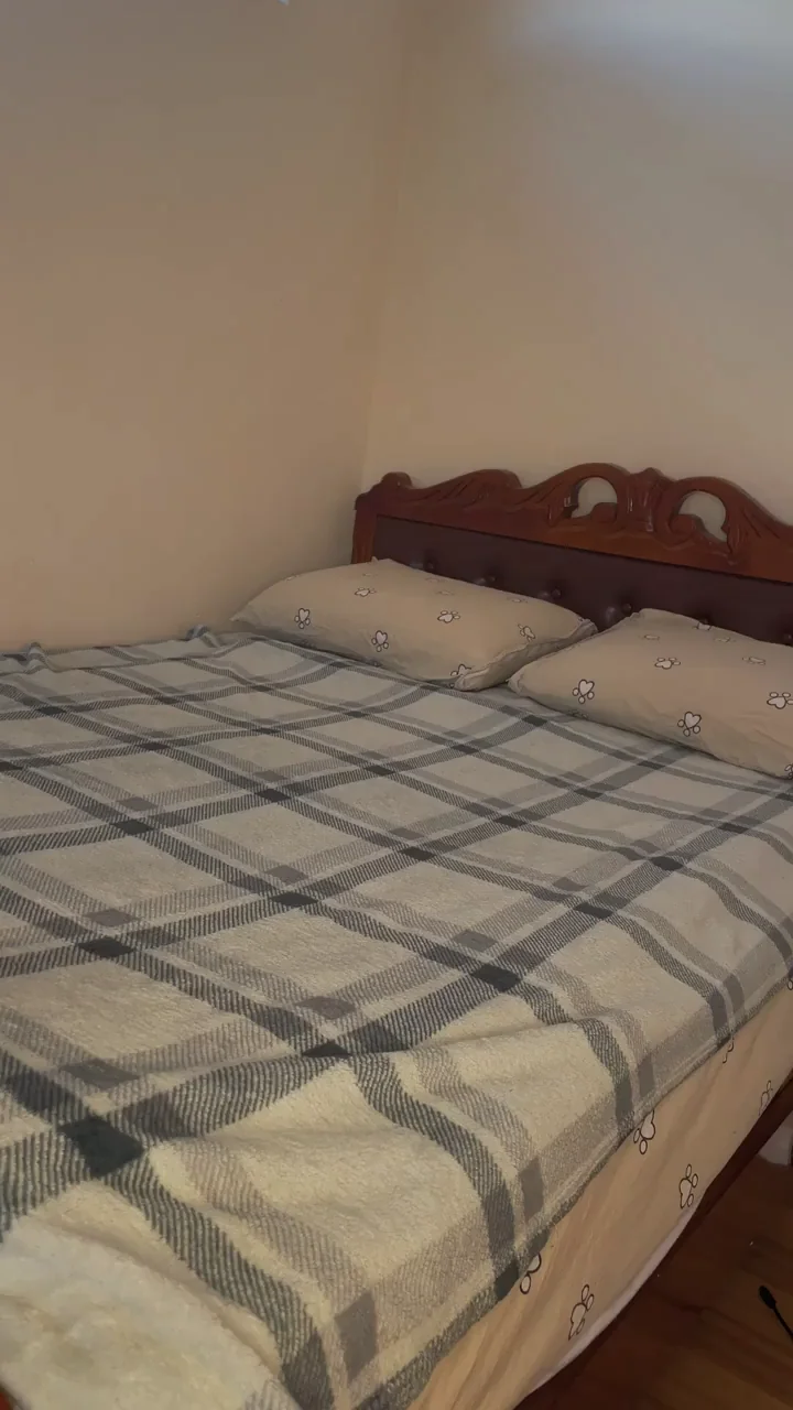 OC Would you mind if I land on your bed?