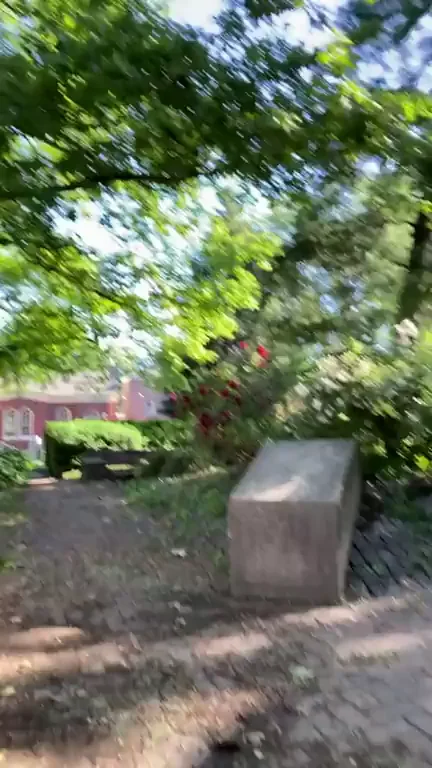 🌳 Shy Cock Teased with Outdoor Outercourse Handjob 😏🍆