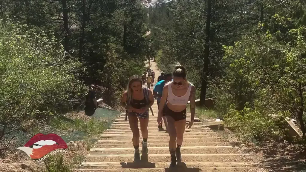 Who wants to climb to the top? [GIF][20sec]