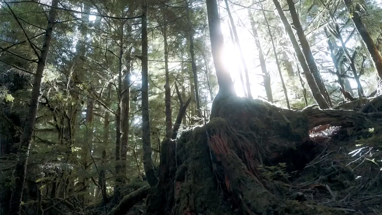 Kellen Rhis' Wild Hike Fuckfest 😈🌲💦