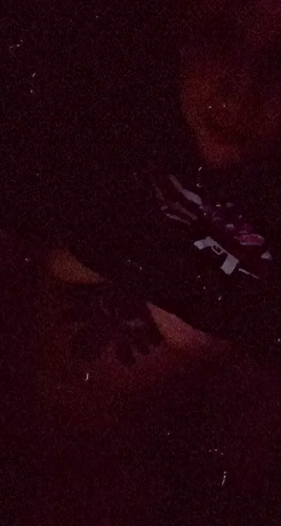 Birthday Squirting Slut Begs for Cum Celebration