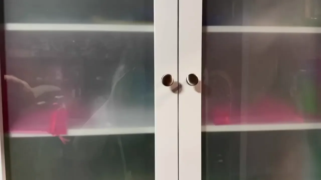 My entire Sex Toy Collection