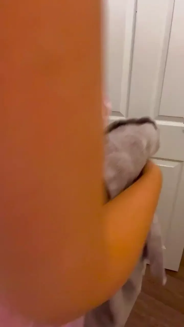 Mommy's doing laundry again, give me your load