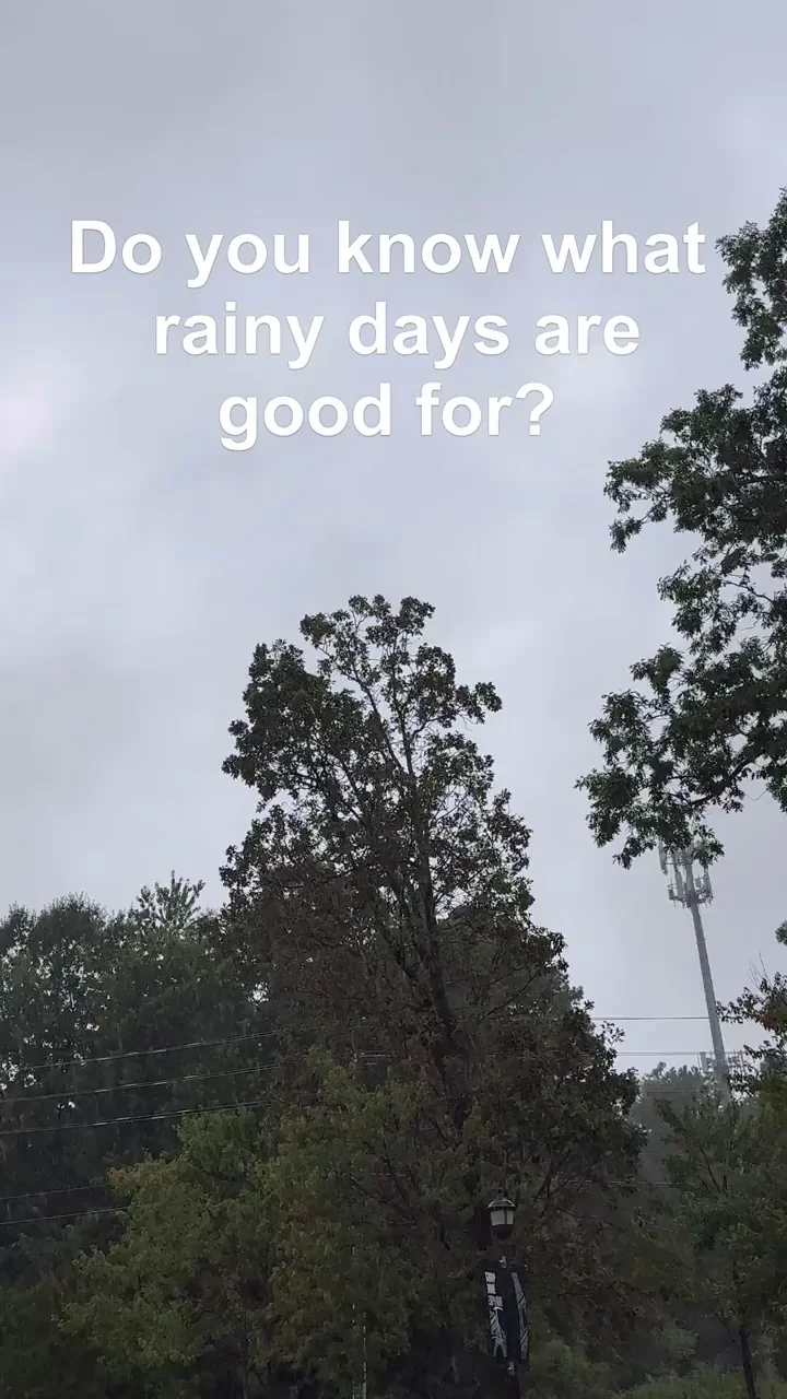 Rainy days are good for telling your husband you're going shopping.