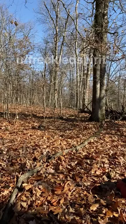 Bike trail shenanigans
