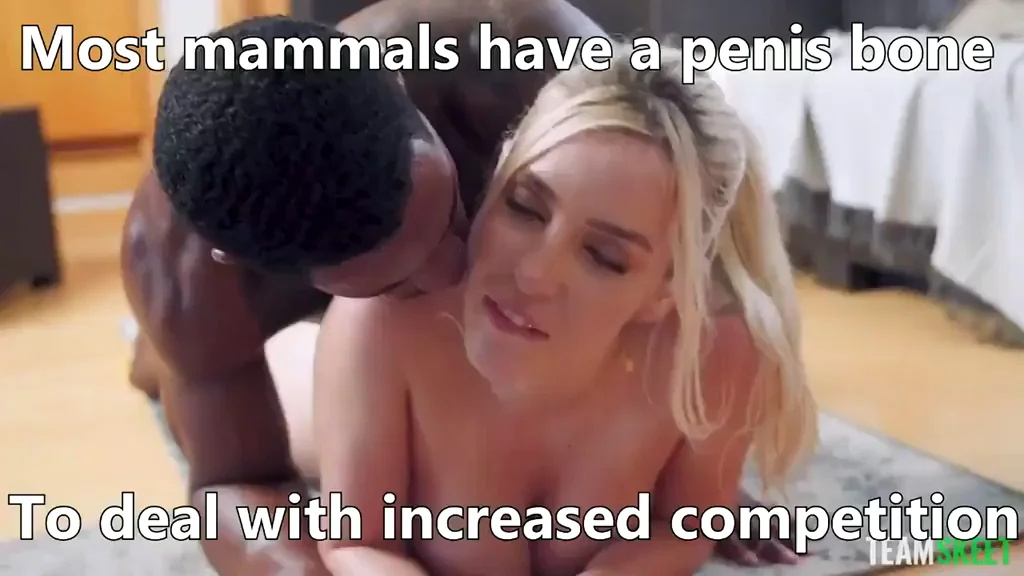 BBC Takeover Vol 9: Blonde Slut Owned by Massive Black Cock 😈🍆💦