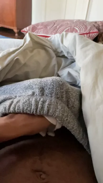 Boing! 🍆 Massive Cock Bouncing Wild 😈