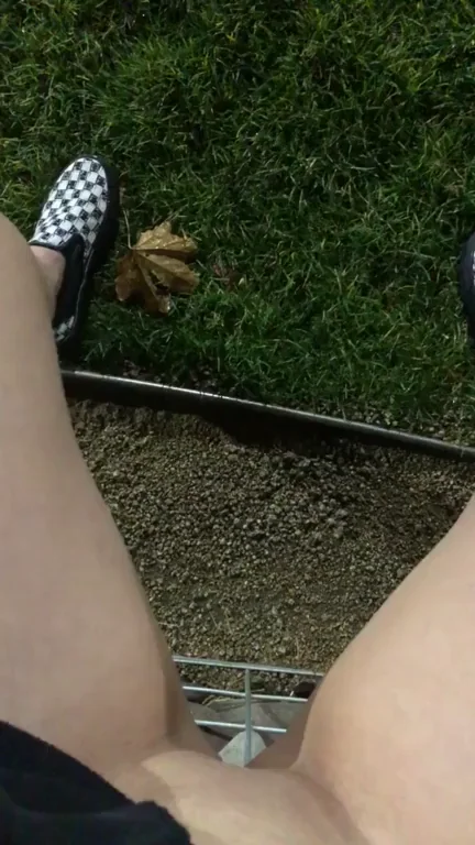 fully exposed in a public park ?